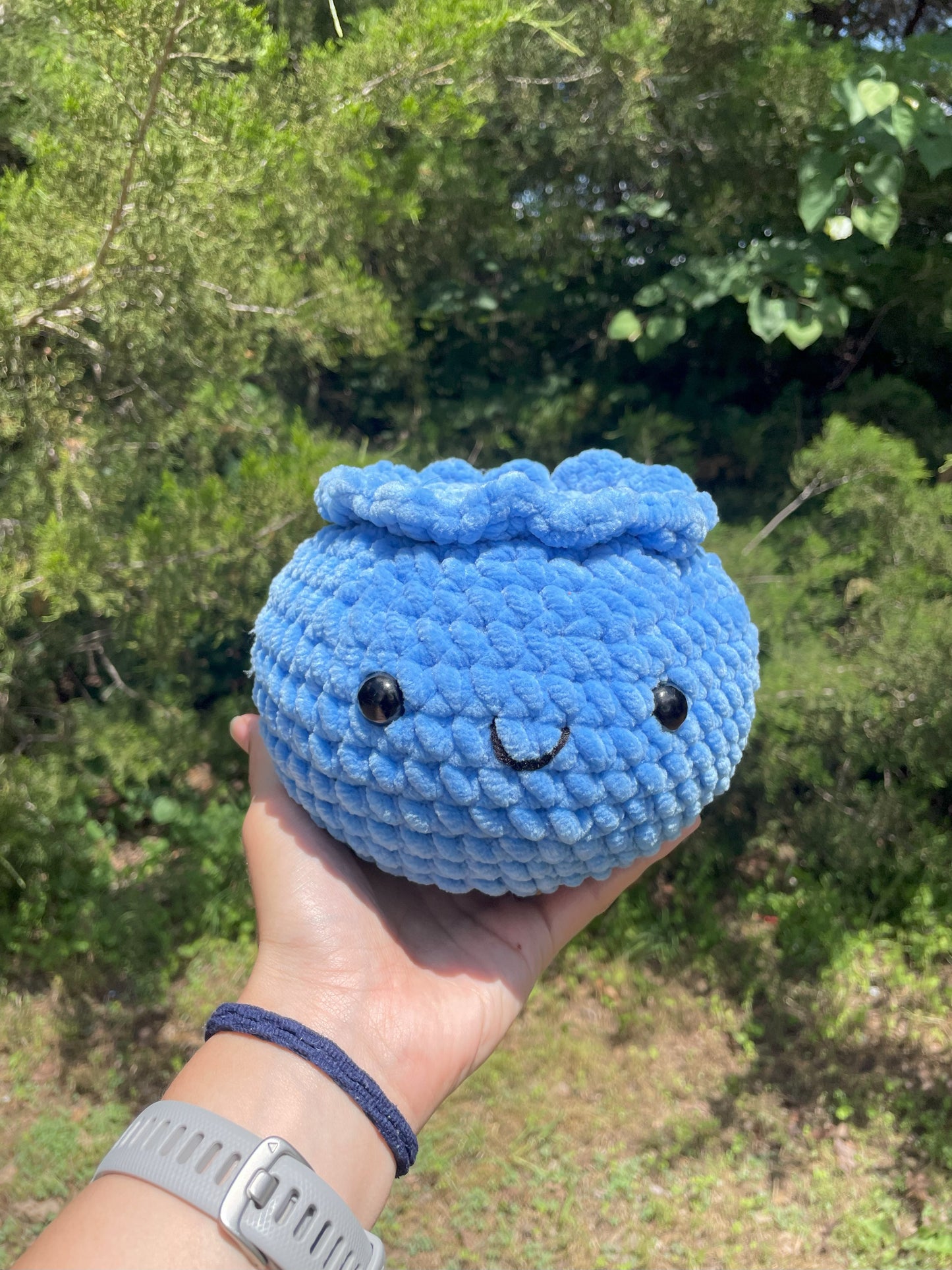 2 in 1 Crochet Blueberry Pattern