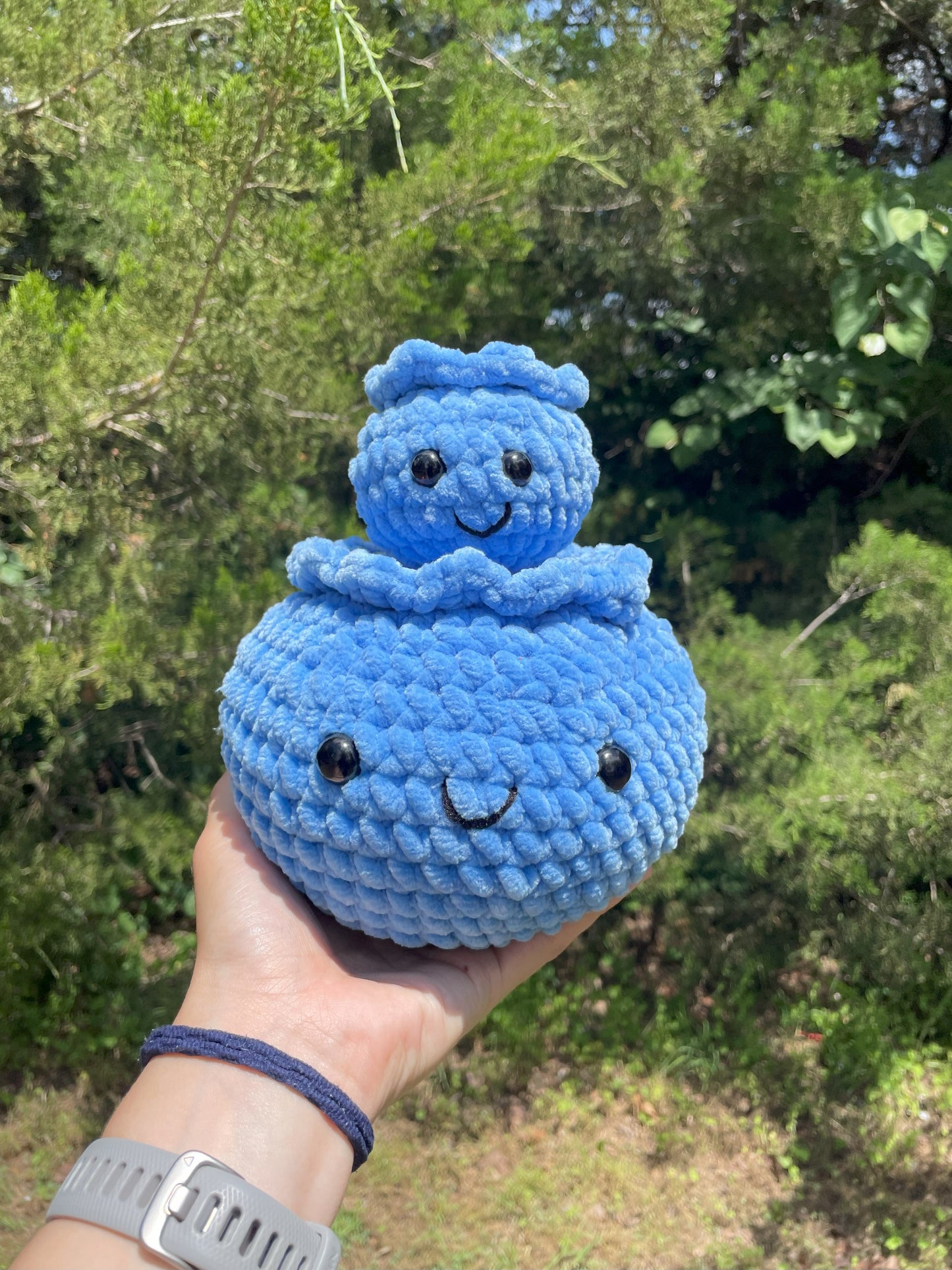 2 in 1 Crochet Blueberry Pattern