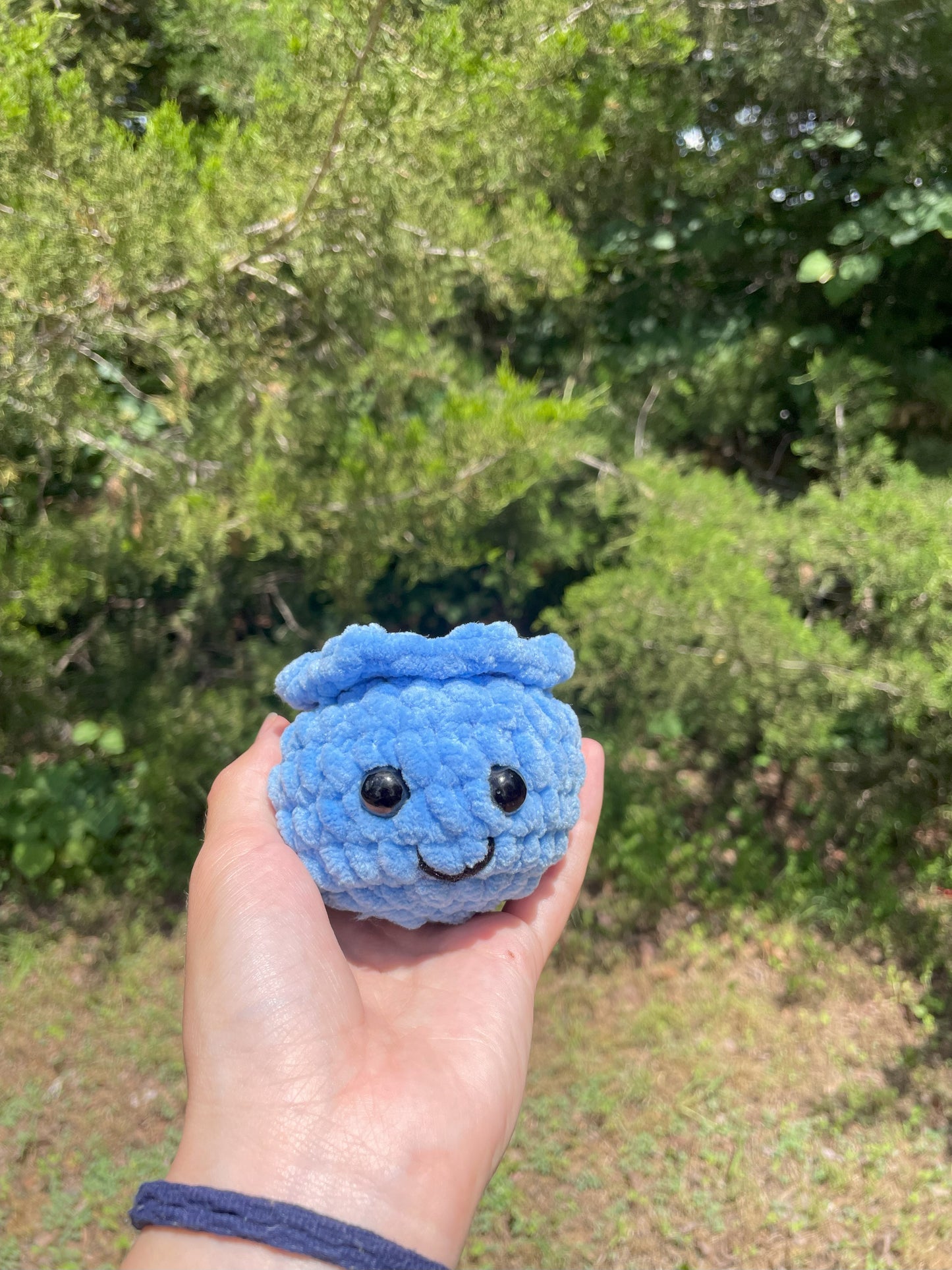 2 in 1 Crochet Blueberry Pattern