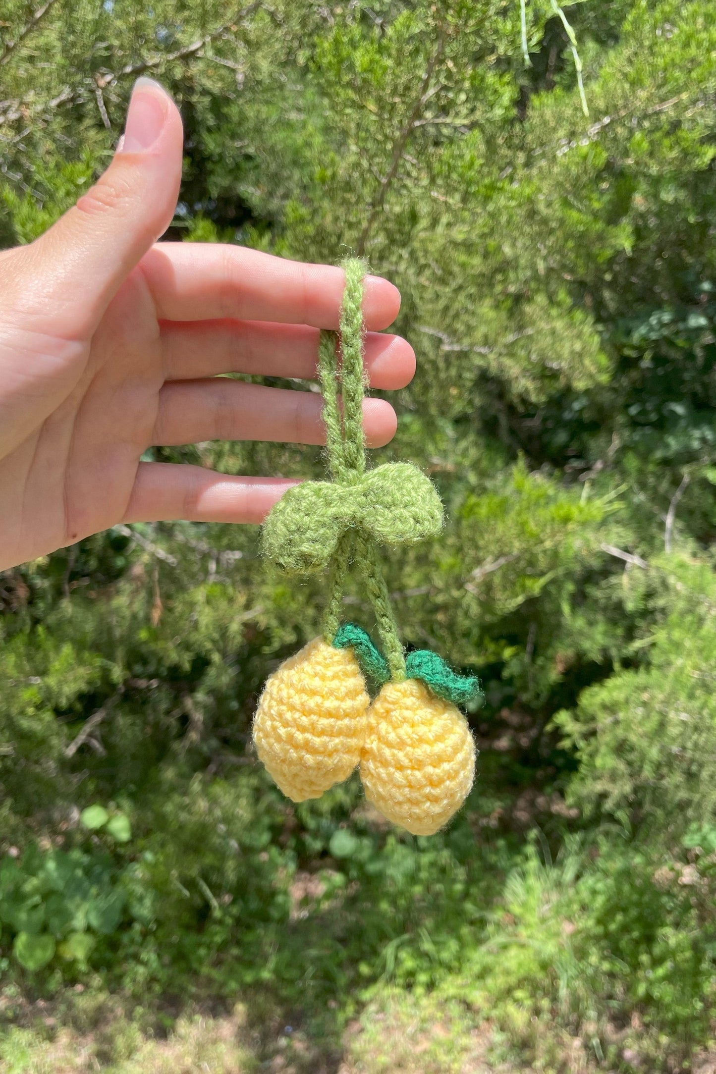 Fruit Keychain | Bag Tag | Car Hanger Accessory