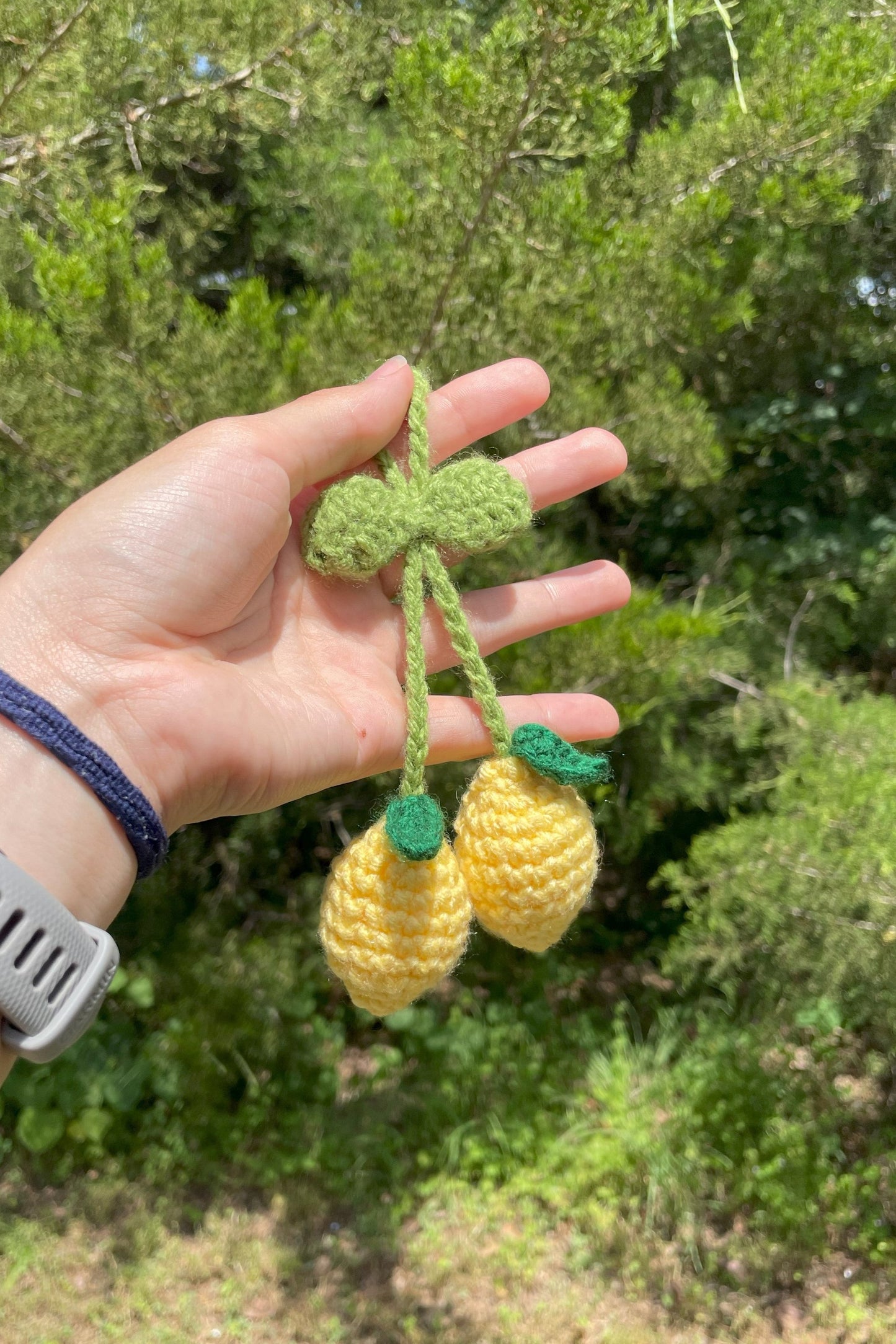 Fruit Keychain | Bag Tag | Car Hanger Accessory